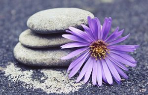 Zen Stones & Flower